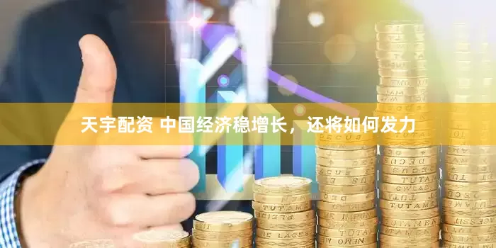 天宇配资 中国经济稳增长，还将如何发力