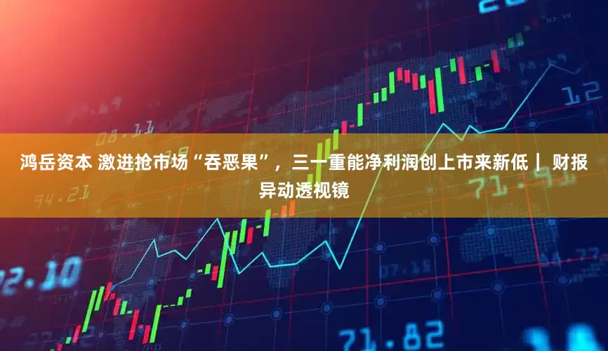 鸿岳资本 激进抢市场“吞恶果”，三一重能净利润创上市来新低｜ 财报异动透视镜